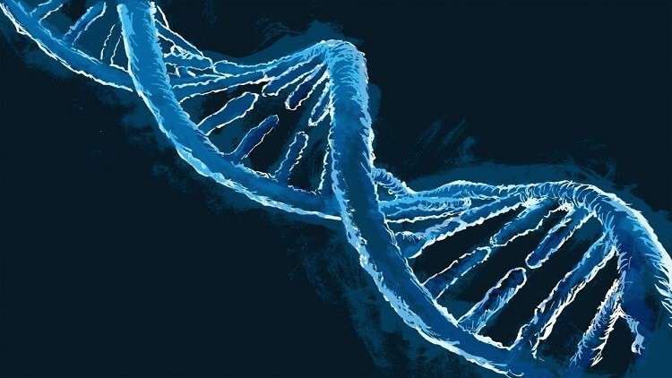 جينات «سحرية» قد تمكن الإنسان من تجديد نفسه!